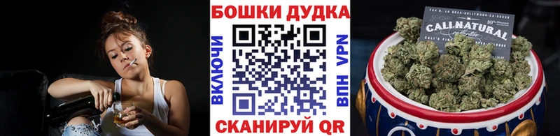 Каннабис сатива  Шуя 